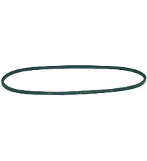 CINGHIA TRAPEZOIDALE 6x600 mm