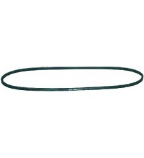 CINGHIA TRAPEZOIDALE 6x675 mm Y700