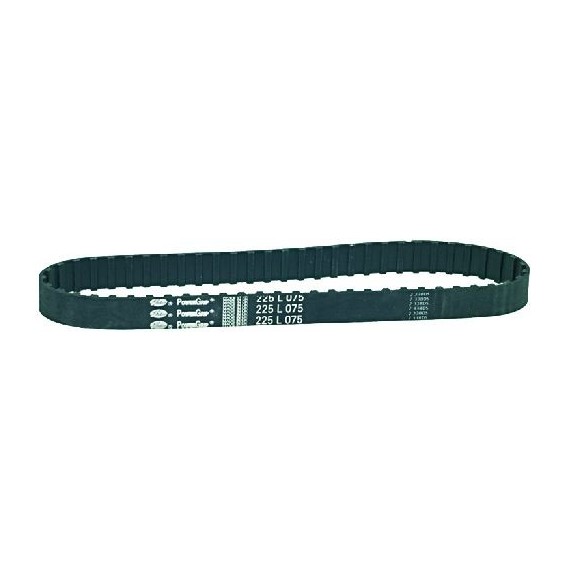 CINGHIA DENTATA 225 L 075 H19