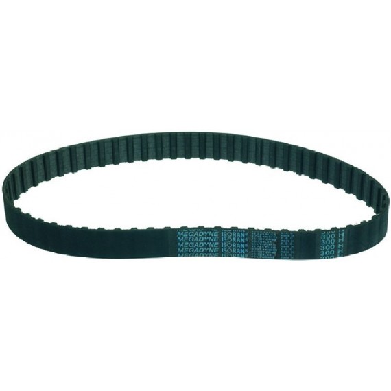 CINGHIA DENTATA 300H 209 H25