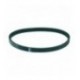 CINGHIA DENTATA 22x8x800 mm Li