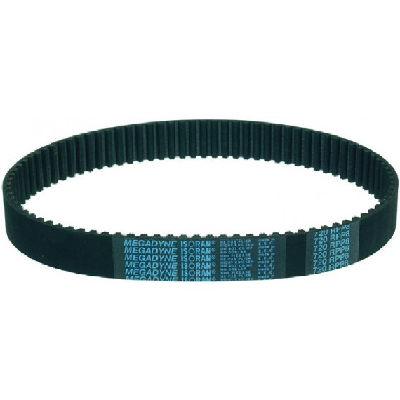 CINGHIA DENTATA 720 RPP8 807 H29