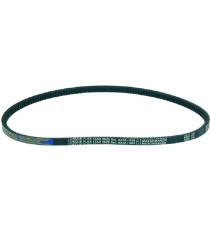 CINGHIA DENTATA A-35 13x889 Li