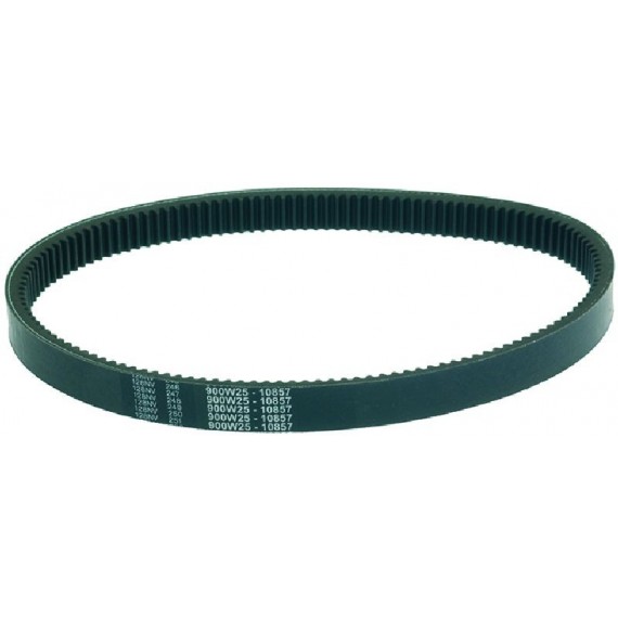 CINGHIA DENTATA 26x8x862 Li