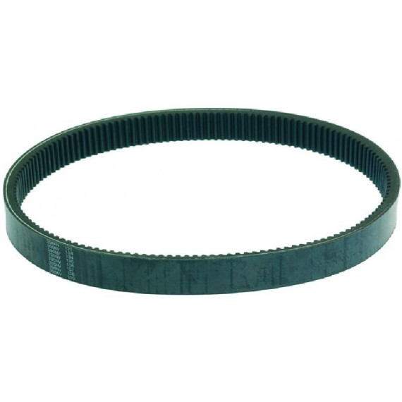 CINGHIA DENTATA 115NV 1000W31,5 H31