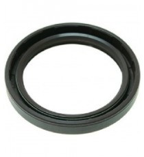 ANELLO DI TENUTA 52x40x7 mm VITON