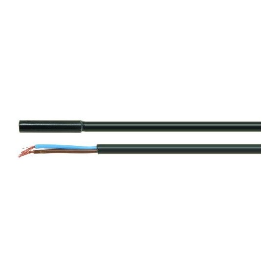 MICROINTERRUTTORE MAGNETICO A061-1V