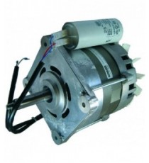 MOTORE 125/50 1/3HP 230V 50Hz