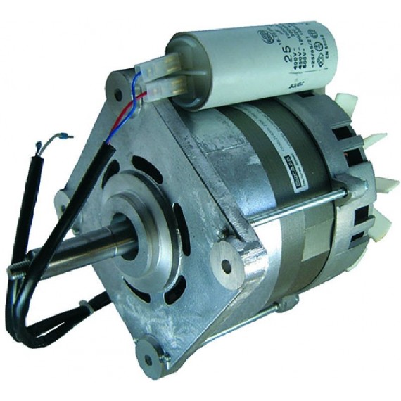 MOTORE 125/50 1/3HP 230V 50Hz