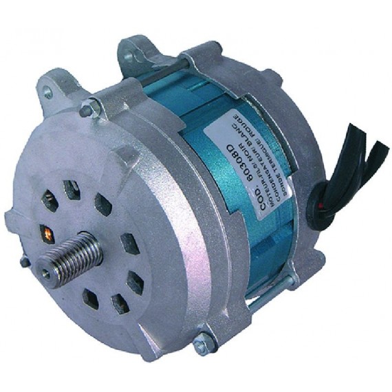 MOTORE P40 230V 50Hz