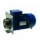 KIT MOTORE OLONG YD2-90L-2/4