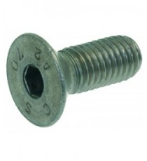 VITE A TESTA SVASATA PIANA M10x25