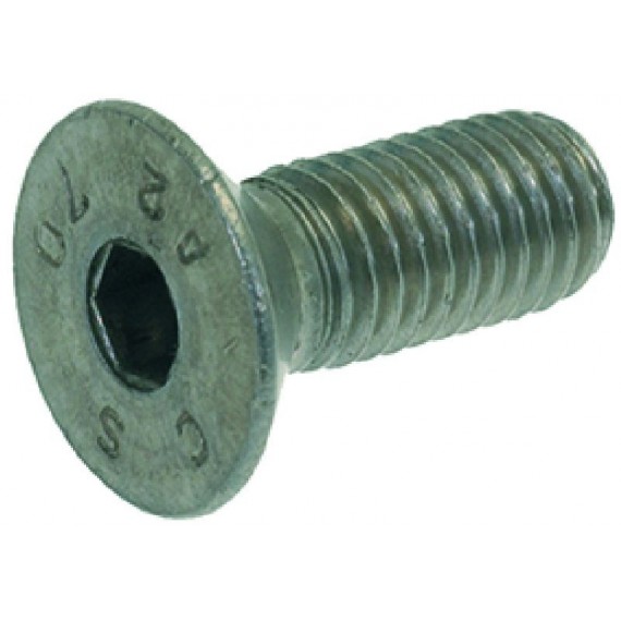 VITE A TESTA SVASATA PIANA M10x25