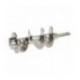 COCLEA COMPLETA INOX 12 FIMAR