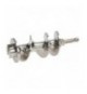 COCLEA COMPLETA INOX 12 FIMAR