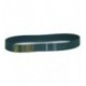 CINGHIA DENTATA 330 HL 150 H38