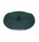 DISCO ABRASIVO PELAPATATE Diam. 385 mm