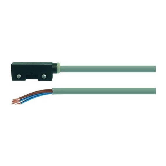 MICROINTERRUTTORE MAGNETICO