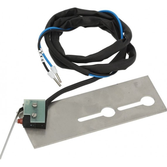 MICROINTERRUTTORE 250V