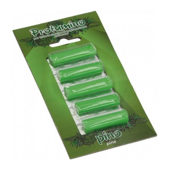 BLISTER 5 STICK PROFUM GREEN/PINE-TREE