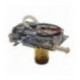 CALDAIA 600W 230V