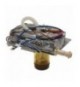 CALDAIA 600W 230V