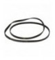 CINGHIA ZANUSSI 1217 J4 POLY EL