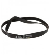 CINGHIA HUTCHINSON 1067 H8 EL