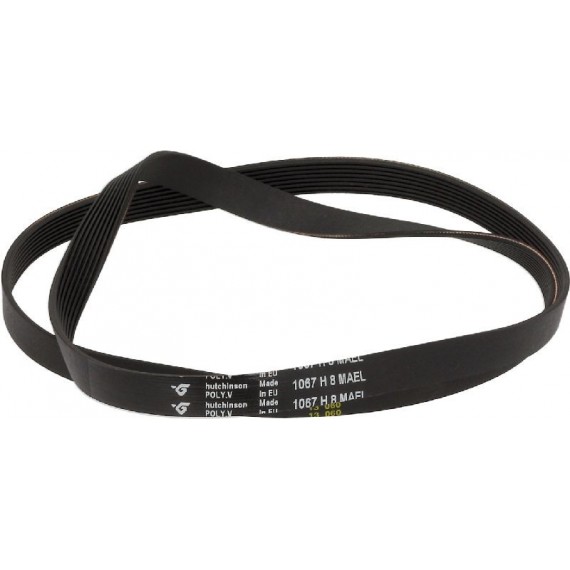 CINGHIA HUTCHINSON 1067 H8 EL
