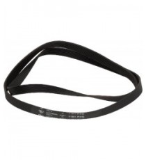 CINGHIA HUTCHINSON 1181 H8 EL