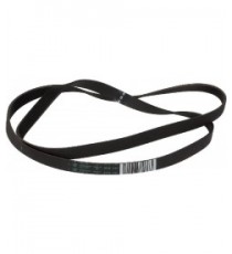 CINGHIA HUTCHINSON 1195 H8 EL