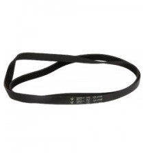 CINGHIA HUTCHINSON 1213 H8 EL