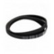 CINGHIA BEKO 1277 J5 EL HUTCHINSON