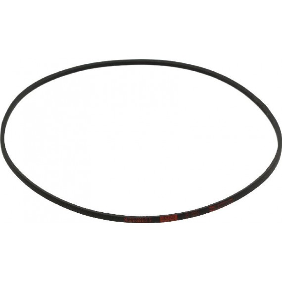 CINGHIA 1372 3L540