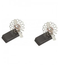 SPAZZOLE CARBONE MOTORE SCHUNK
