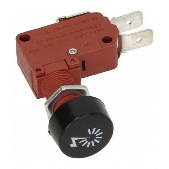 MICROINTERRUTTORE