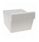 CASSETTO VERDURA ZANUSSI BIANCO