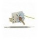 TERMOSTATO METALFLEX