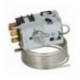 TERMOSTATO DANFOSS 077B6756