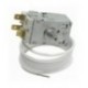TERMOSTATO A13-0385