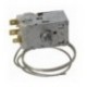 TERMOSTATO A13-0434