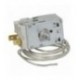 TERMOSTATO A01-0087
