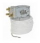 TERMOSTATO A13-0763