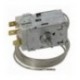 TERMOSTATO A13-0549