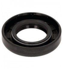 ANELLO TENUTA 30X55X10 GP