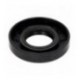 ANELLO TENUTA 25X52X10 GP