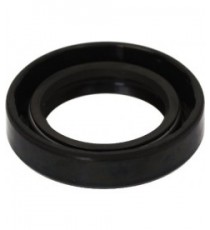 ANELLO TENUTA 30X47X10 GP