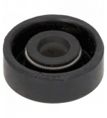 ANELLO TENUTA 6X19X7 G