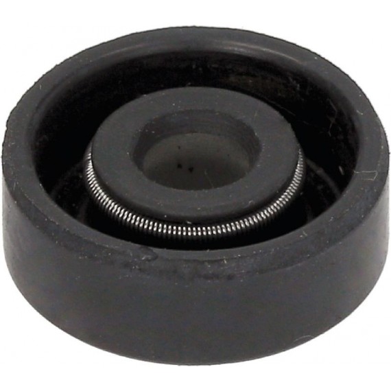 ANELLO TENUTA 6X19X7 G