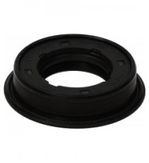 ANELLO TENUTA 30x52/60x11/15